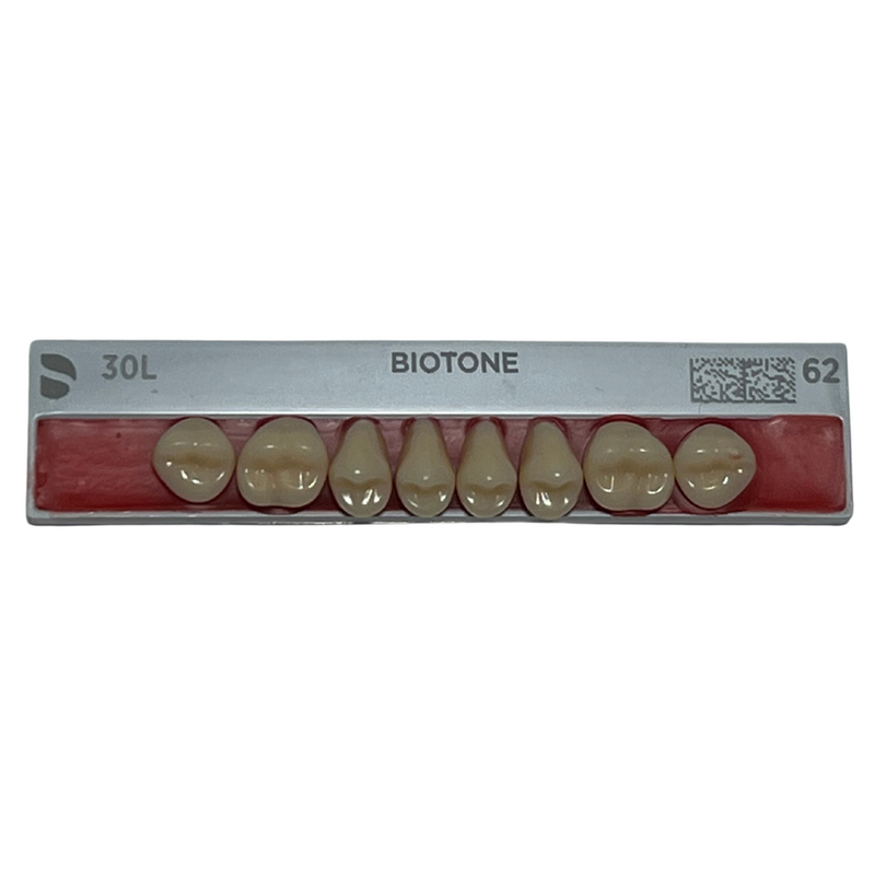 Tablilla Dientes Posteriores Biotone 8pz Dentsply