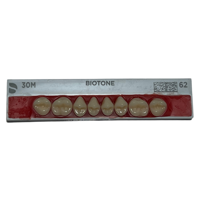 Tablilla Dientes Posteriores Biotone 8pz Dentsply