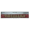 Tablilla Dientes Posterior Inferior Biotone 8pz Dentsply