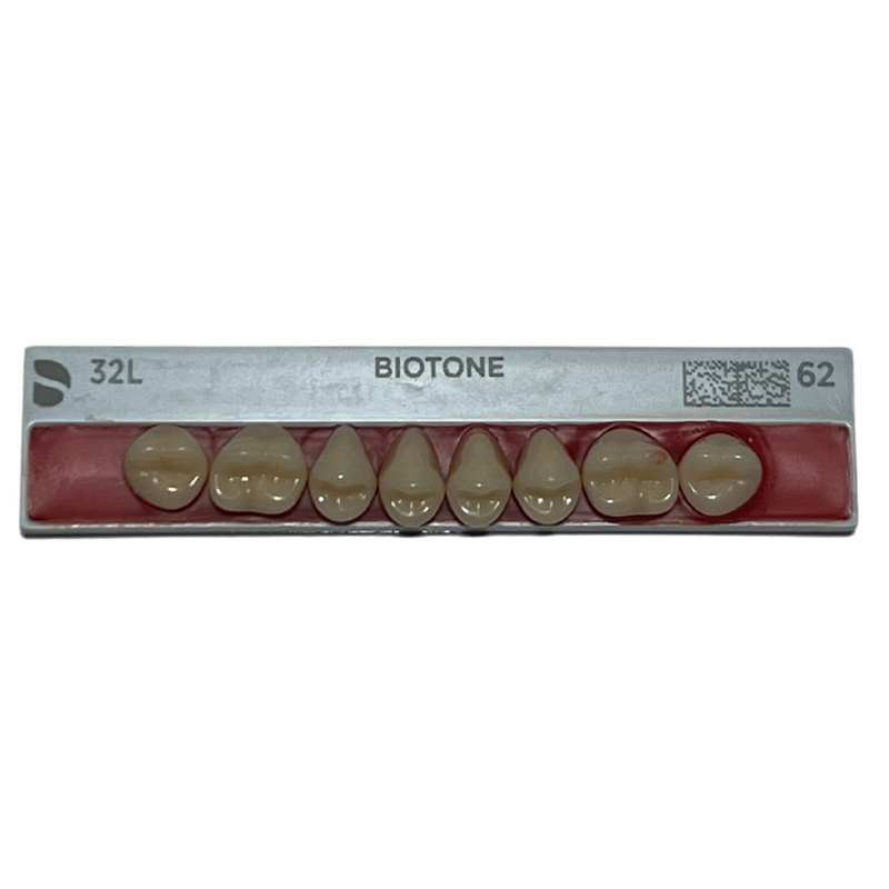 Tablilla Dientes Posteriores Biotone 8pz Dentsply