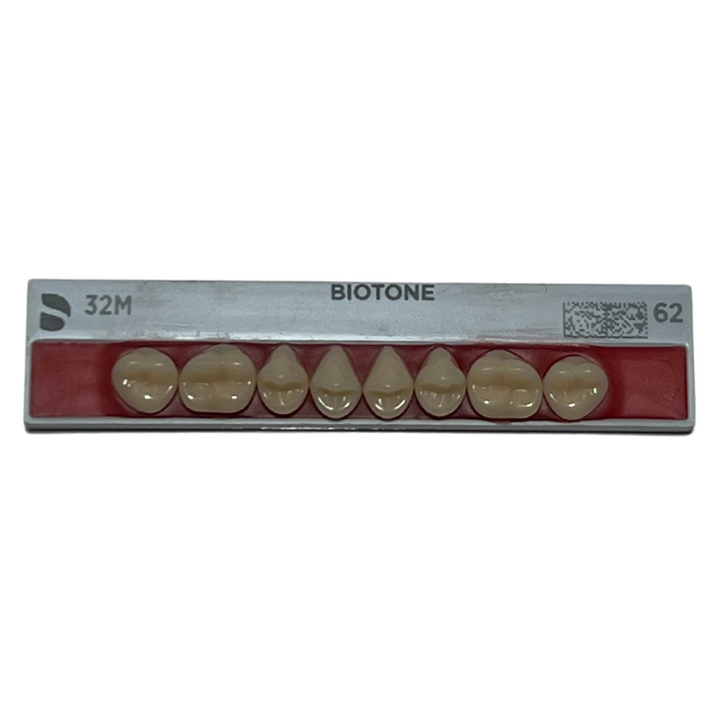 Tablilla Dientes Posteriores Biotone 8pz Dentsply