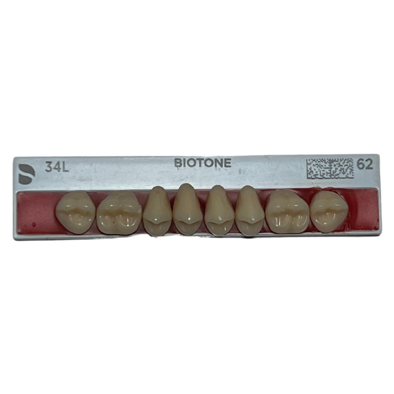 Tablilla Dientes Posteriores Biotone 8pz Dentsply