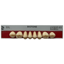 Tablilla Dientes Posterior Inferior Biotone 8pz Dentsply