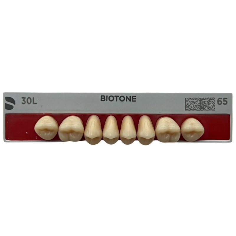 Tablilla Dientes Posteriores Biotone 8pz Dentsply