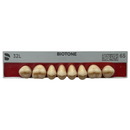 Tablilla Dientes Posterior Inferior Biotone 8pz Dentsply