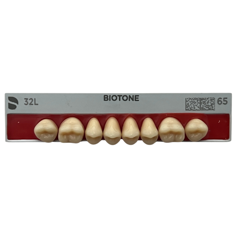 Tablilla Dientes Posteriores Biotone 8pz Dentsply