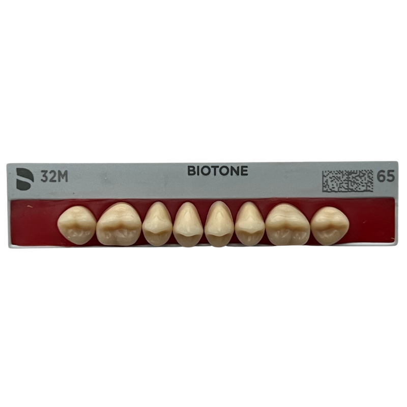 Tablilla Dientes Posteriores Biotone 8pz Dentsply