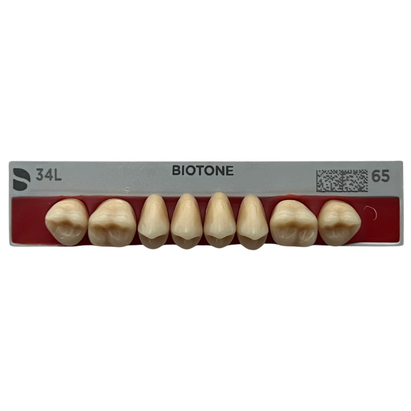 Tablilla Dientes Posteriores Biotone 8pz Dentsply