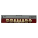 Tablilla Dientes Posterior Inferior Biotone 8pz Dentsply