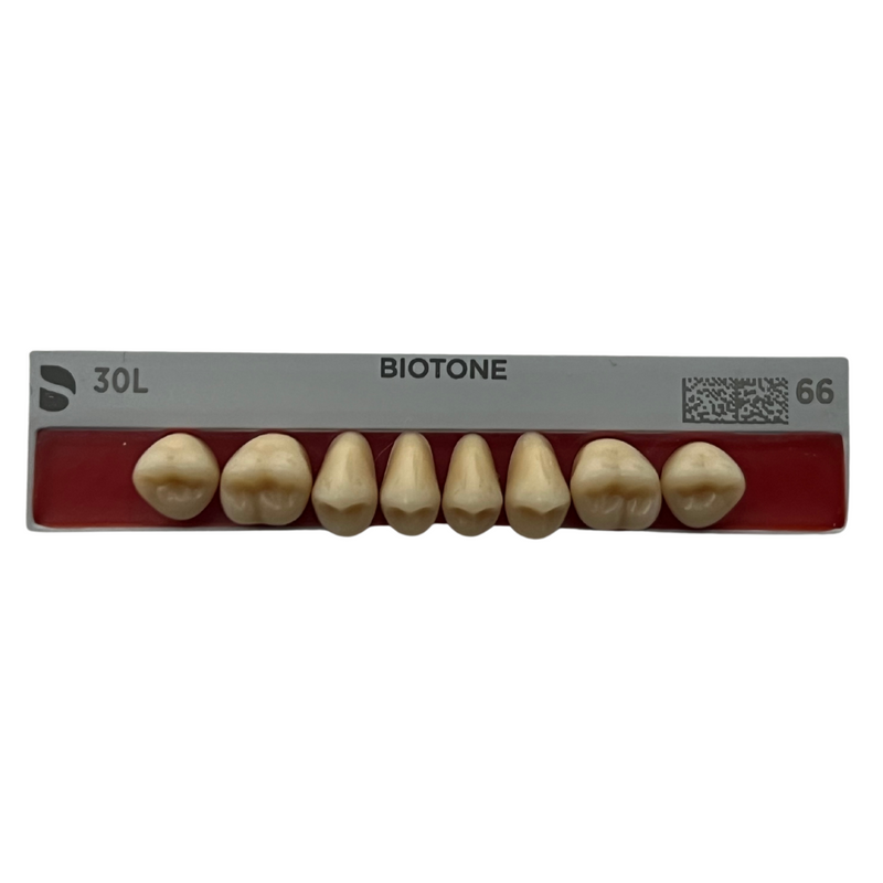 Tablilla Dientes Posteriores Biotone 8pz Dentsply