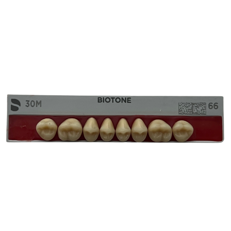 Tablilla Dientes Posteriores Biotone 8pz Dentsply