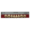 Tablilla Dientes Posterior Inferior Biotone 8pz Dentsply