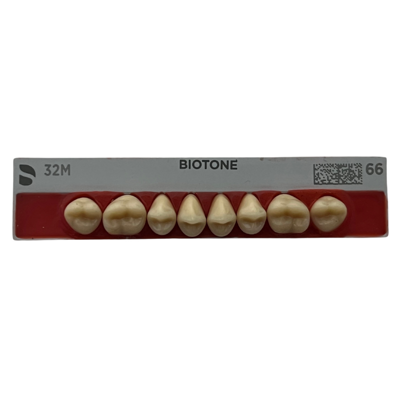 Tablilla Dientes Posteriores Biotone 8pz Dentsply