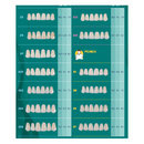 Tablilla Dientes Biotone Anteriores Superiores 6pz Dentsply