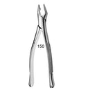 Forcep Adulto Orsa
