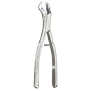 Forcep Adulto Orsa