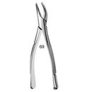 Forcep  Adulto 6b Invent