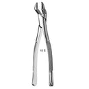 Forcep  Adulto 6b Invent