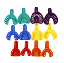 Porta Impresiones Cribadas Dentadas Plastico 12pz DT