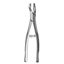 Forcep Arain