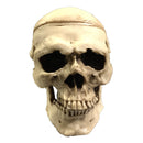 Craneo Médico Terminado Estetico