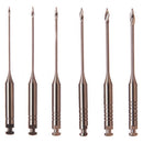 Gates 6pz Maillefer Dentsply Sirona