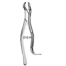 Forcep Adulto Orsa