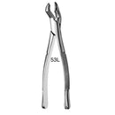 Forcep  Adulto 6b Invent