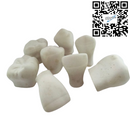 Macromodelos Dentales Yeso 8 pz DT