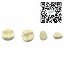 Dientes Endodoncia c/5 pz. DT