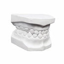 Tipodonto Yeso Mixto (infantil)