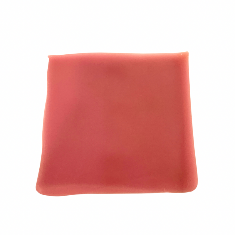 Placa Base Fotocurable 50pz WP Dental